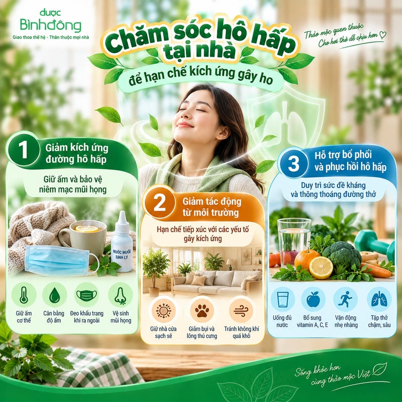 Infographic trình bày ba hướng chăm sóc hô hấp tại nhà nhằm hạn chế kích ứng gây ho.