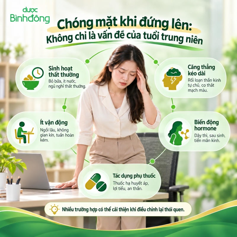 Infographic chóng mặt khi đứng lên: sinh hoạt thất thường, căng thẳng, ít vận động, hormone và thuốc.