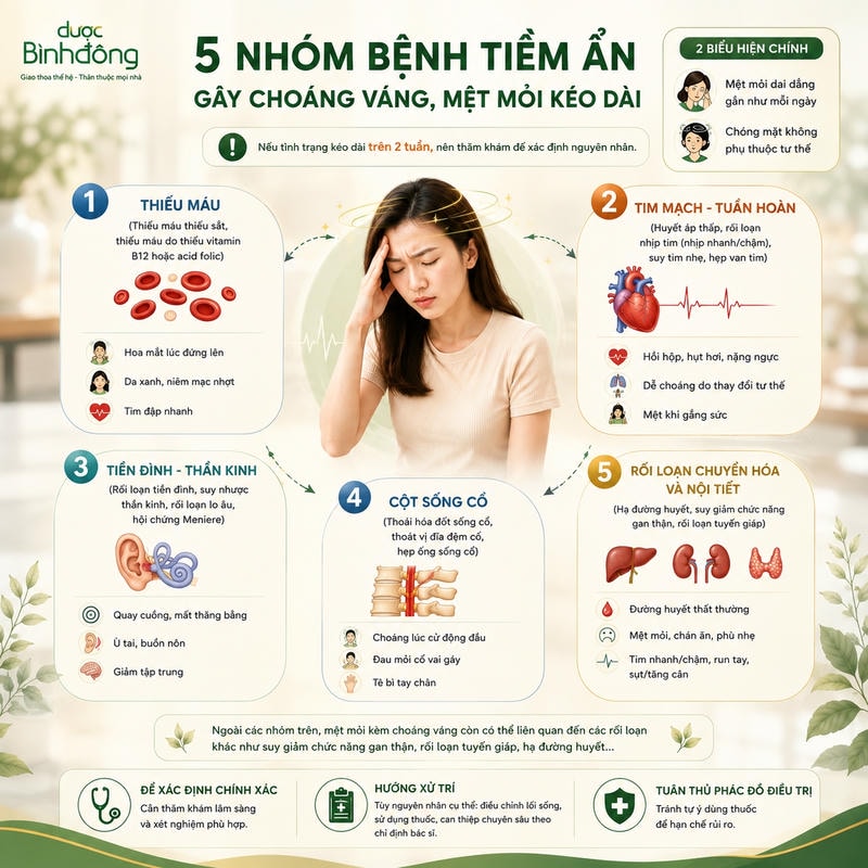 Infographic 5 nhóm liên quan chóng mặt: thiếu máu, tim mạch, tiền đình, cột sống cổ, chuyển hóa - nội tiết.