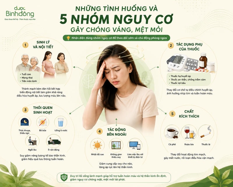 Infographic 5 nhóm nguy cơ gây chóng váng, mệt mỏi gồm sinh lý, thuốc, lối sống, môi trường và chất kích thích.