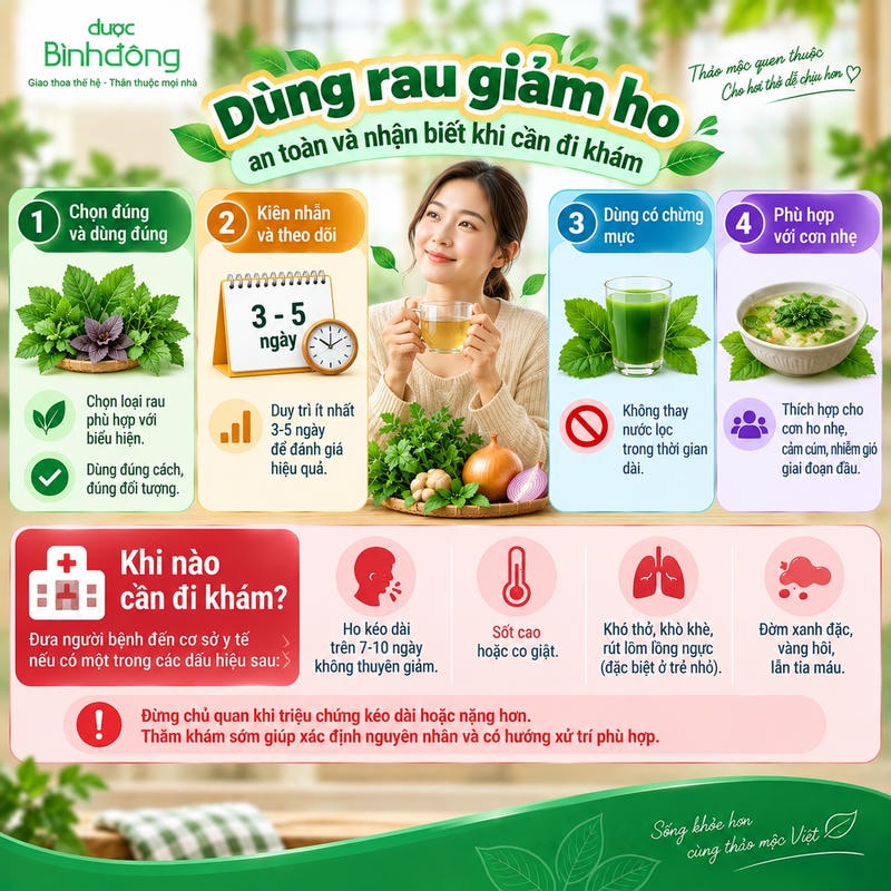 Infographic hướng dẫn dùng rau hỗ trợ giảm ho an toàn và các dấu hiệu cần đi khám.