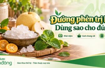 Đường phèn, lê, quất và húng chanh được bố trí trên khay tre. Thumbnail giới thiệu khái niệm, cách chưng cất và lưu ý khi dùng đường phèn trị ho.