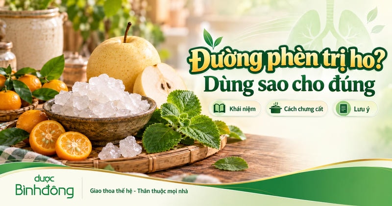 Đường phèn, lê, quất và húng chanh được bố trí trên khay tre. Thumbnail giới thiệu khái niệm, cách chưng cất và lưu ý khi dùng đường phèn trị ho.