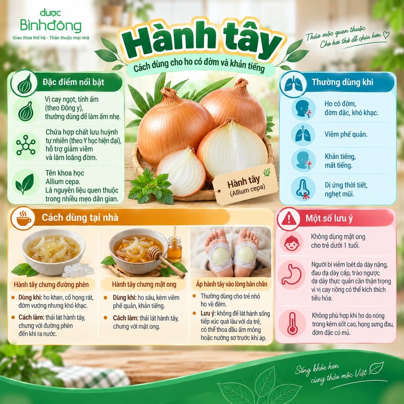 Infographic về hành tây, gồm đặc tính, ba cách dùng tại nhà và các lưu ý an toàn.