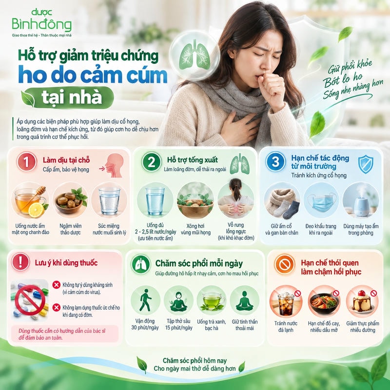 Infographic chăm sóc ho cảm cúm tại nhà: dịu họng, tống đờm, tránh kích ứng và lưu ý dùng thuốc.