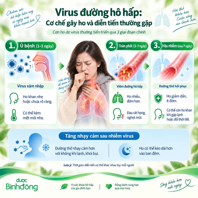 Infographic ho do virus qua ba giai đoạn ủ bệnh, toàn phát, hậu nhiễm và tăng nhạy cảm sau nhiễm.