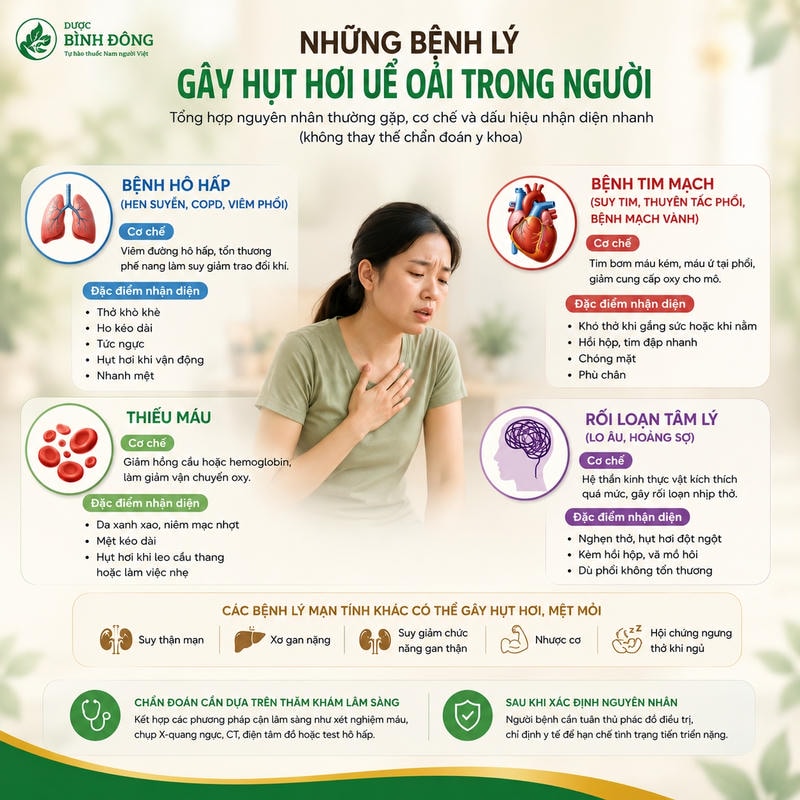 Infographic bệnh lý gây hụt hơi mệt mỏi gồm hô hấp, tim mạch, thiếu máu và rối loạn tâm lý.