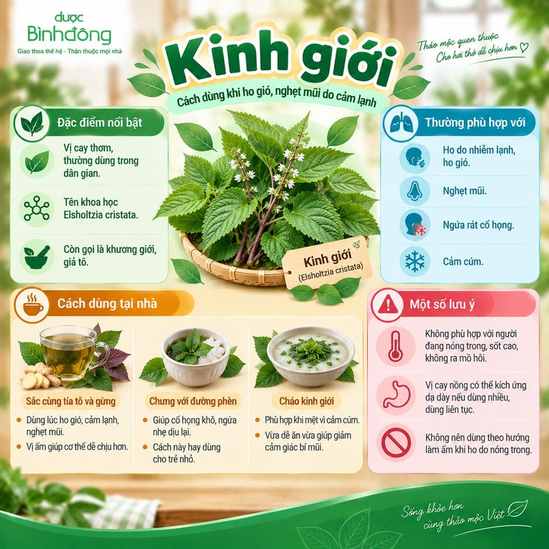 Infographic về kinh giới, gồm đặc tính, ba cách dùng tại nhà và các lưu ý khi sử dụng.