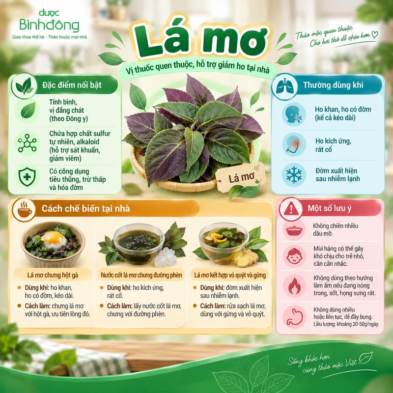Infographic về lá mơ, gồm đặc tính, ba cách chế biến và các lưu ý khi sử dụng.