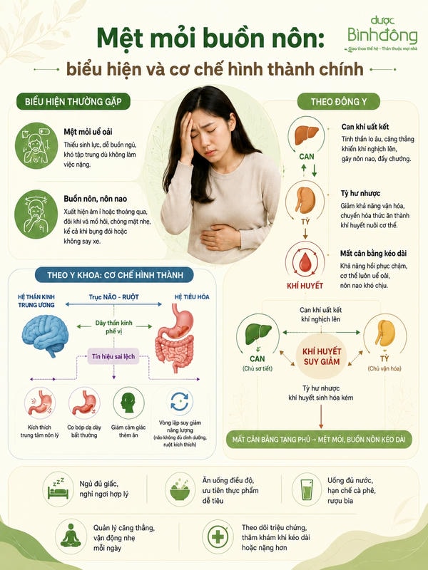 Sơ đồ mệt mỏi buồn nôn gồm biểu hiện thường gặp, cơ chế não–ruột và mối liên hệ Can–Tỳ–khí huyết.