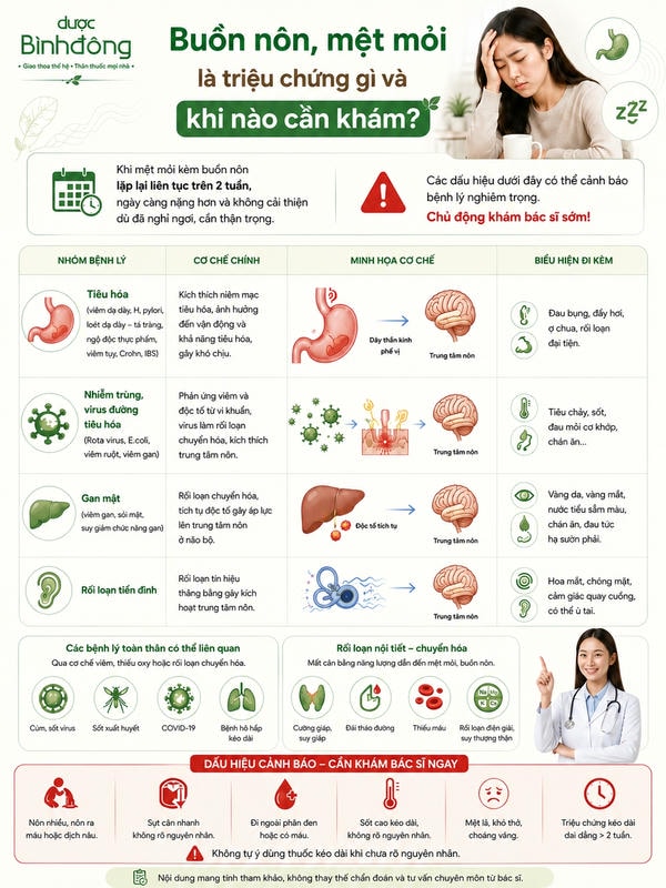 Infographic mệt mỏi buồn nôn nêu bốn nhóm bệnh, cơ chế, biểu hiện đi kèm và dấu hiệu cảnh báo.