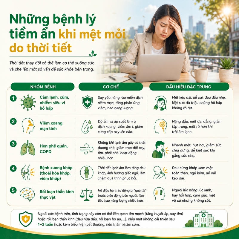 Infographic 5 nhóm bệnh liên quan mệt mỏi do thời tiết, kèm cơ chế suy giảm thể lực và dấu hiệu.