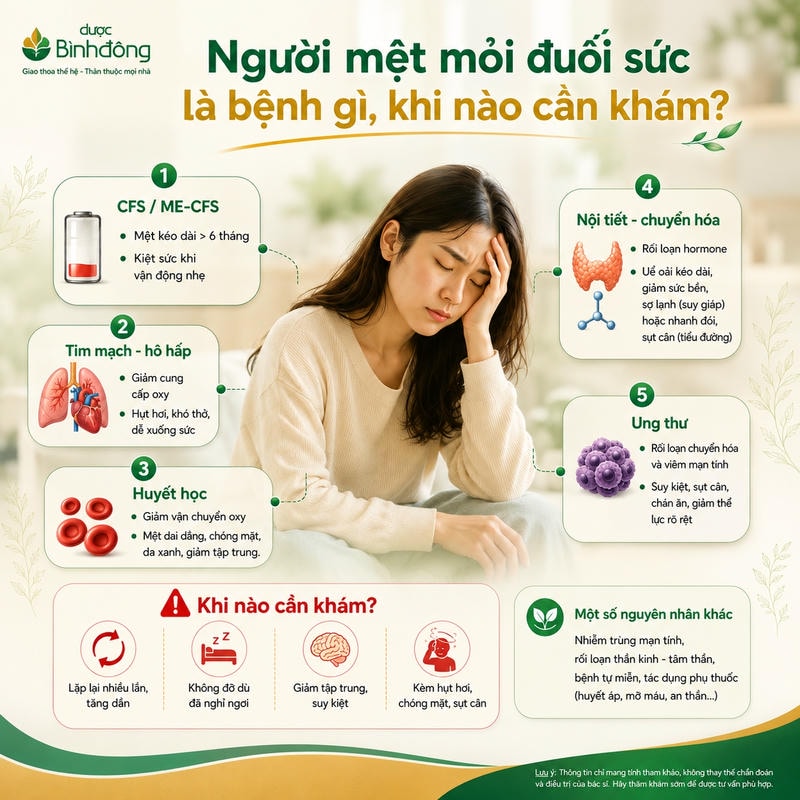Infographic mệt mỏi đuối sức gồm năm nhóm bệnh liên quan và các dấu hiệu cần thăm khám.