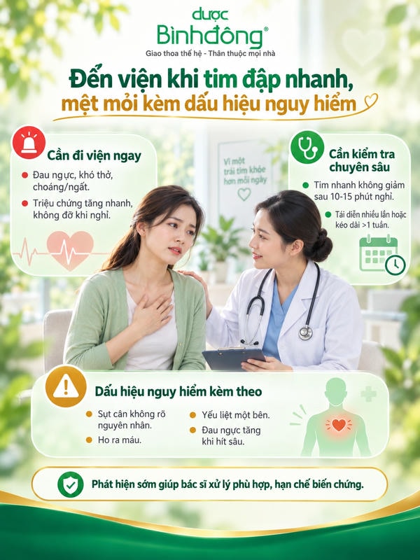 Infographic nêu dấu hiệu cần đến viện, kiểm tra chuyên sâu và triệu chứng nguy hiểm khi tim đập nhanh.