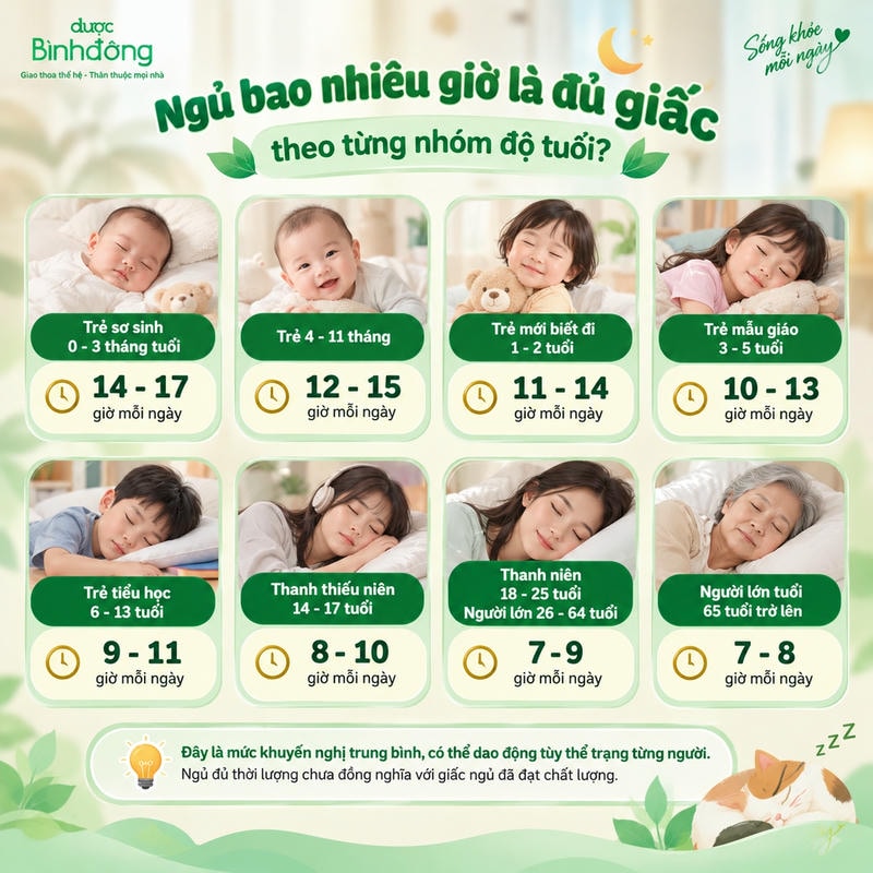 Infographic thời lượng ngủ khuyến nghị theo tám nhóm tuổi, giảm dần từ trẻ sơ sinh đến người lớn tuổi.