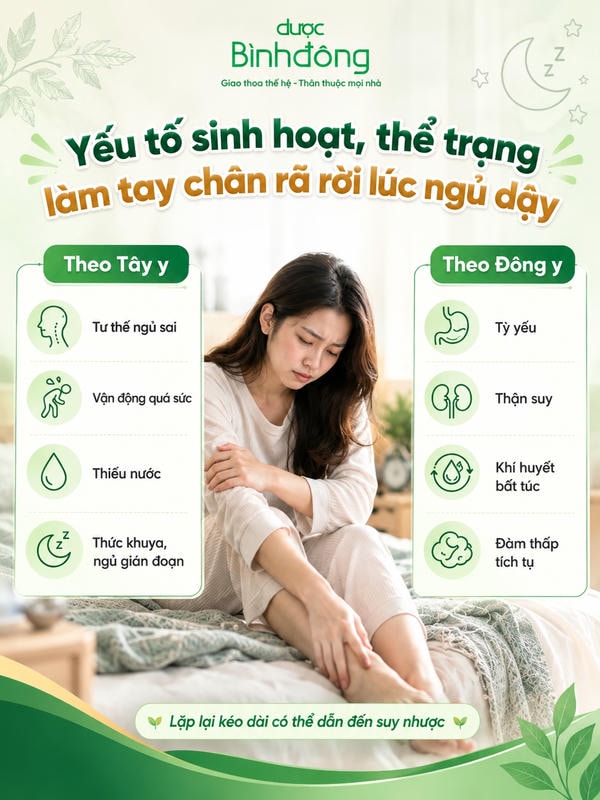 Infographic các yếu tố làm tay chân rã rời lúc ngủ dậy, gồm nhóm Tây y và Đông y.