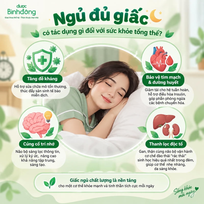 Infographic bốn lợi ích của ngủ đủ giấc: đề kháng, tim mạch, trí nhớ và thanh lọc độc tố.