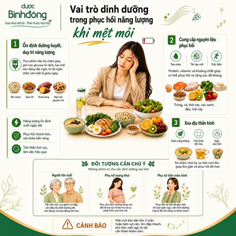 Infographic vai trò dinh dưỡng khi mệt mỏi, gồm ổn định đường huyết, phục hồi và xoa dịu thần kinh.