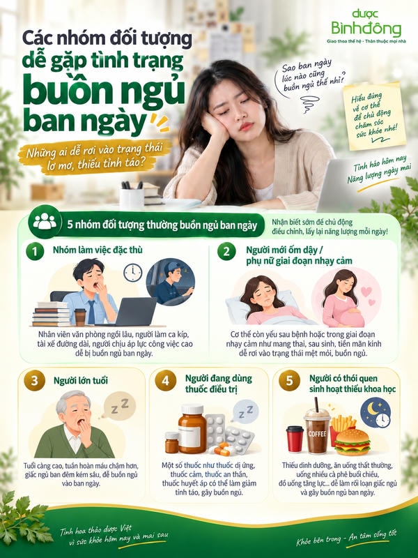 Infographic về các nhóm đối tượng dễ buồn ngủ ban ngày, gồm năm nhóm chính và đặc điểm nhận diện đi kèm.