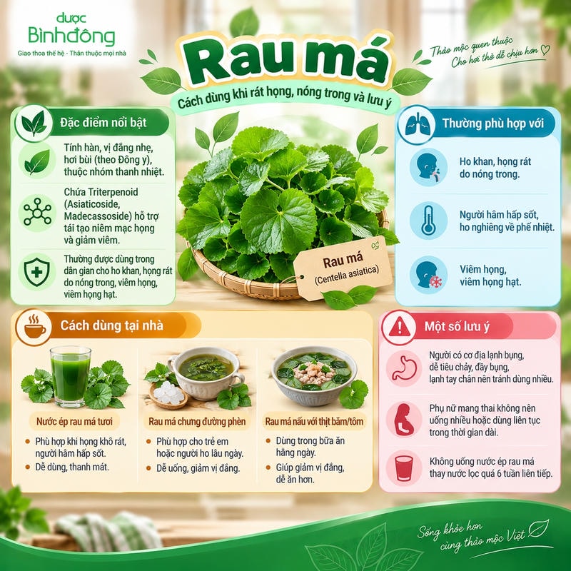 Infographic về rau má, gồm đặc tính, ba cách dùng tại nhà và các lưu ý khi sử dụng.