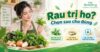 Người phụ nữ lựa chọn các loại rau, lá và gia vị quen thuộc hỗ trợ giảm ho. Graphic trình bày ba nội dung: các loại rau lá, cách dùng tại nhà và lưu ý an toàn khi cần đi khám.