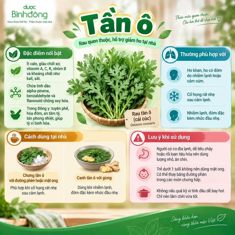 Infographic về rau tần ô, gồm đặc điểm chính, hai cách chế biến tại nhà và các lưu ý khi sử dụng.