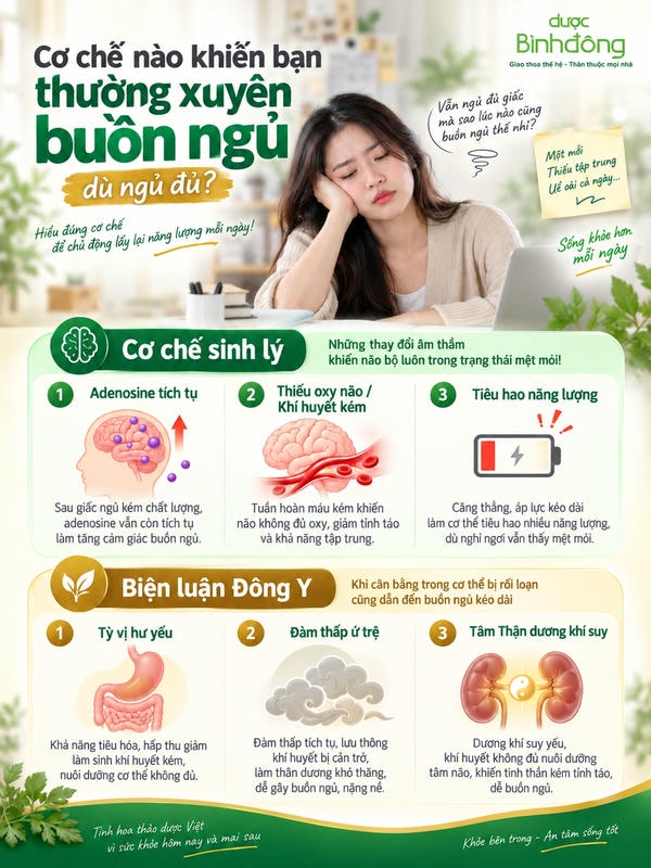 Sơ đồ giúp đối chiếu các yếu tố sinh lý và góc nhìn Đông y về tình trạng buồn ngủ.