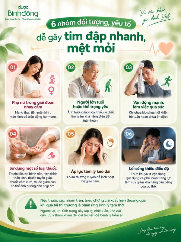 Infographic nêu 6 nhóm đối tượng, yếu tố dễ gây tim đập nhanh kèm mệt mỏi và lưu ý theo dõi triệu chứng tái diễn.