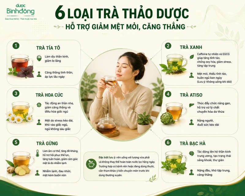 Infographic 6 loại trà thảo dược gồm tía tô, trà xanh, hoa cúc, atiso, gừng và bạc hà.