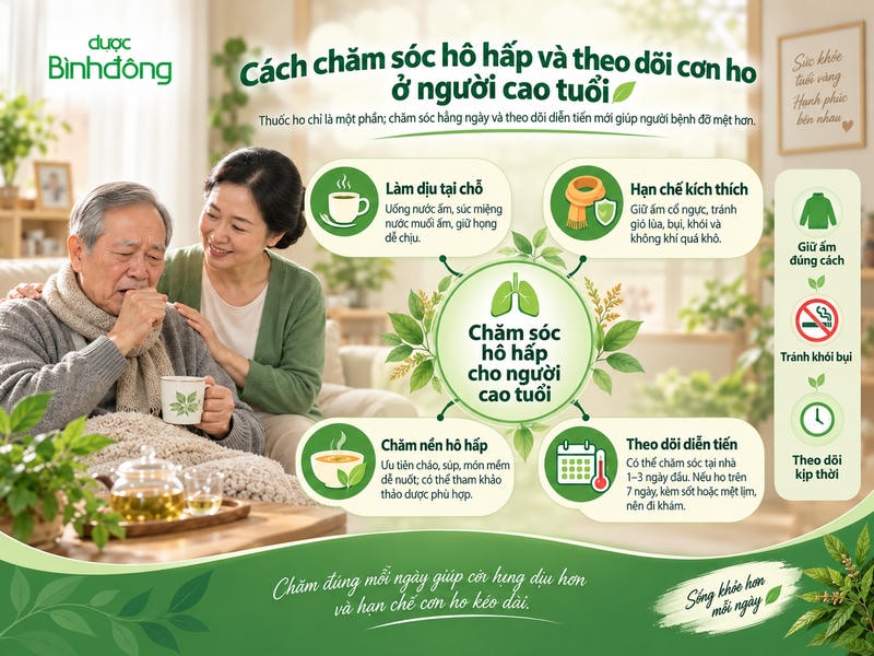 Infographic hướng dẫn 4 cách chăm sóc hô hấp cho người cao tuổi: làm dịu cổ họng, hạn chế kích thích, bổ sung dinh dưỡng và theo dõi diễn tiến cơn ho.