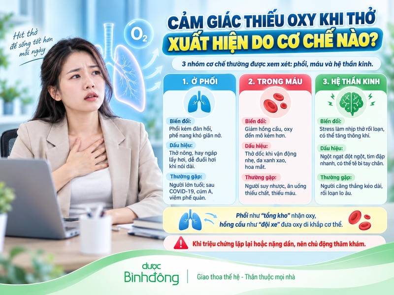Infographic minh họa cảm giác thiếu oxy khi thở xuất hiện do ba cơ chế gồm phổi, máu và hệ thần kinh, kèm dấu hiệu nhận biết và nhóm đối tượng thường gặp