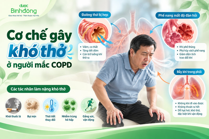 Sơ đồ đường thở bị hẹp, phế nang giảm đàn hồi và hiện tượng bẫy khí trong phổi