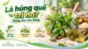 Thumbnail lá húng quế trị ho với húng quế tươi, trà thảo mộc, quất và đường phèn.