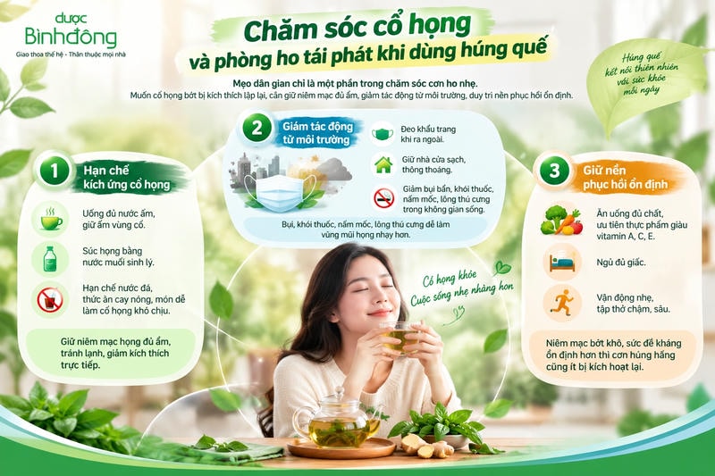 Infographic trình bày 3 hướng chăm sóc cổ họng khi dùng húng quế: hạn chế kích ứng, giảm tác động từ môi trường và duy trì nền phục hồi ổn định.