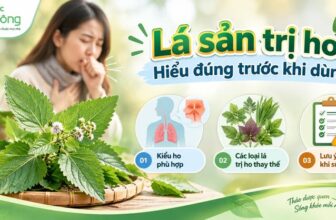 Thumbnail về lá sản trị ho với hình người đang ho, lá thảo dược và ba nội dung: kiểu ho phù hợp, các loại lá thay thế, lưu ý khi sử dụng.