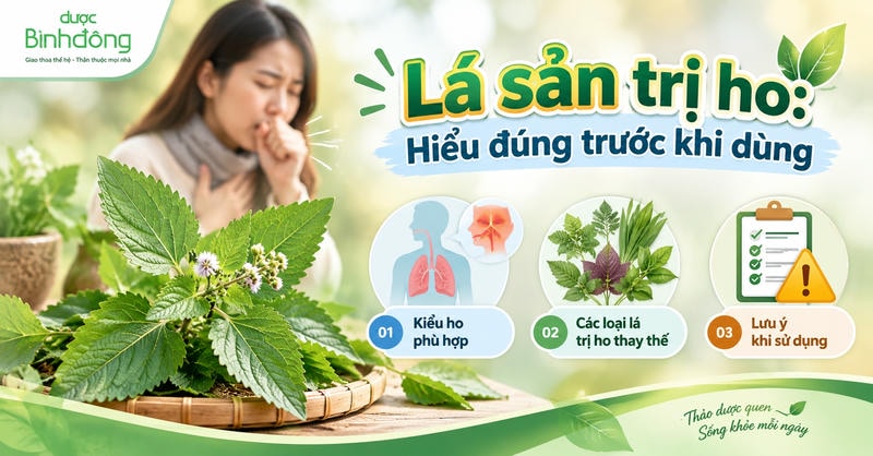 Thumbnail về lá sản trị ho với hình người đang ho, lá thảo dược và ba nội dung: kiểu ho phù hợp, các loại lá thay thế, lưu ý khi sử dụng.