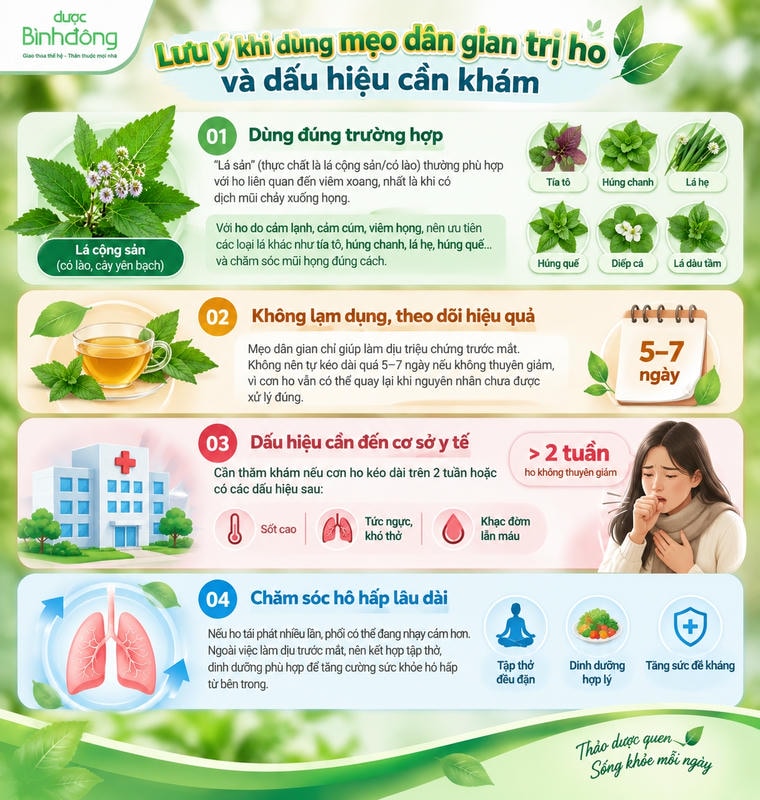 Infographic nêu 4 lưu ý khi dùng mẹo dân gian trị ho: chọn đúng lá, tránh lạm dụng, nhận biết dấu hiệu cần khám và chăm sóc hô hấp lâu dài.