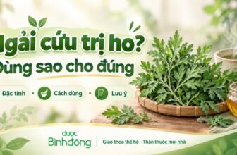 Thumbnail ngải cứu tươi, mật ong và nước ấm với headline “Ngải cứu trị ho? Dùng sao cho đúng”.