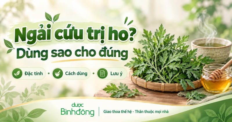 Thumbnail ngải cứu tươi, mật ong và nước ấm với headline “Ngải cứu trị ho? Dùng sao cho đúng”.