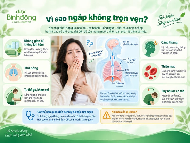 Infographic ngáp không hết hơi gồm sáu yếu tố liên quan, sơ đồ hô hấp và dấu hiệu cần khám.