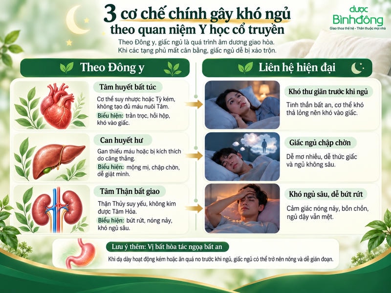 Infographic ba cơ chế Đông y về khó ngủ, minh họa tim, gan, thận và các biểu hiện tương ứng.