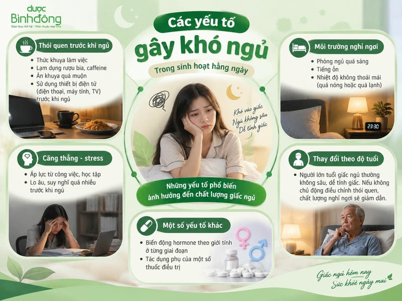 Infographic các yếu tố gây khó ngủ: thói quen, môi trường, căng thẳng, tuổi tác, hormone và thuốc.