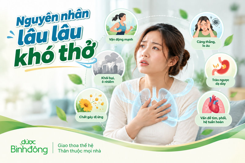Sơ đồ các yếu tố như gắng sức, căng thẳng, khói bụi và vấn đề tim phổi