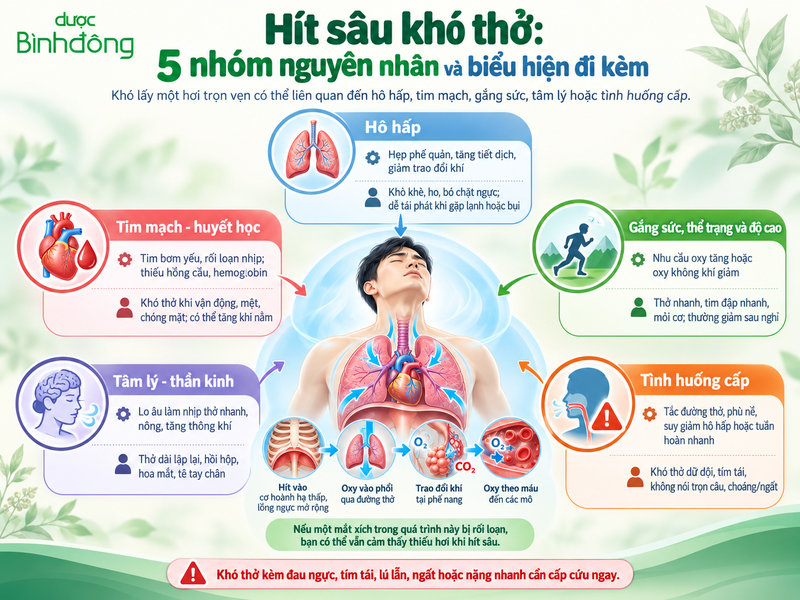 Sơ đồ năm nhóm nguyên nhân liên quan đến hô hấp, tim mạch, gắng sức, tâm lý và tình huống cấp