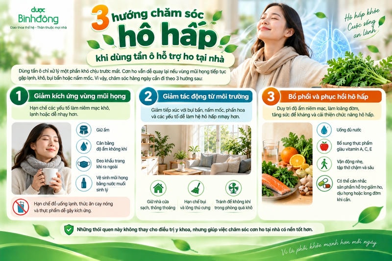 Infographic trình bày 3 hướng chăm sóc hô hấp: giảm kích ứng mũi họng, hạn chế tác nhân môi trường và hỗ trợ phục hồi hô hấp.