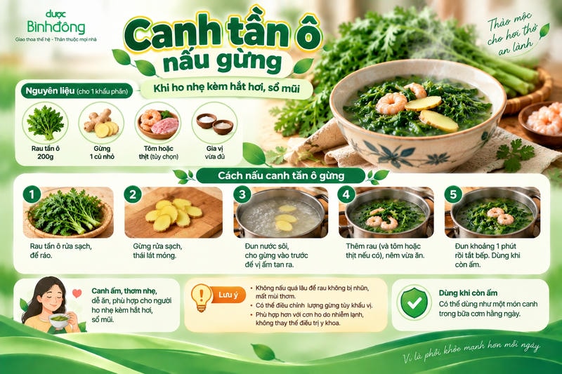 Infographic hướng dẫn 5 bước nấu canh tần ô với gừng và dùng khi còn ấm.