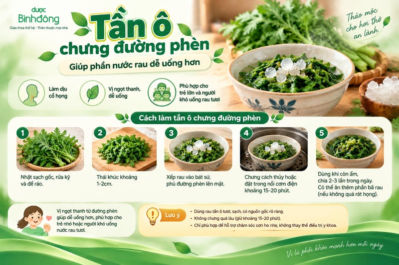 Infographic hướng dẫn 5 bước chưng tần ô với đường phèn và dùng khi còn ấm.
