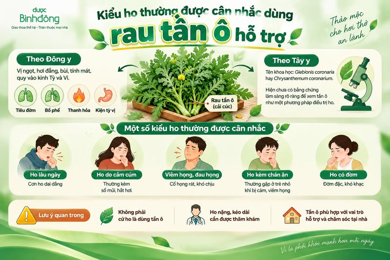 Infographic đối chiếu góc nhìn Đông y và Tây y về tần ô, kèm các kiểu ho thường được cân nhắc hỗ trợ.