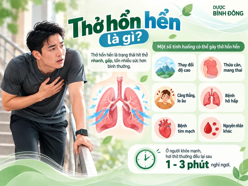 Infographic thở hổn hển cho thấy nhịp thở tăng khi nhu cầu oxy tăng, bên cạnh nhiều nguyên nhân khác.