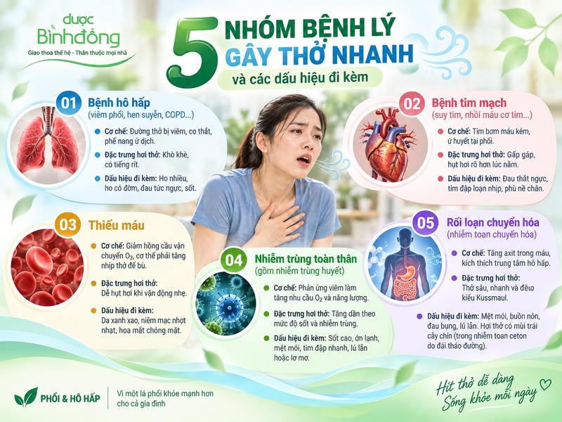 Infographic năm nhóm bệnh liên quan thở nhanh, gồm đặc trưng hơi thở và những triệu chứng đi kèm.